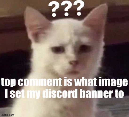 ? | top comment is what image I set my discord banner to | made w/ Imgflip meme maker