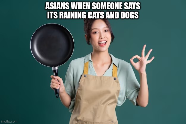 nom nom nom | ASIANS WHEN SOMEONE SAYS ITS RAINING CATS AND DOGS | image tagged in not racist | made w/ Imgflip meme maker