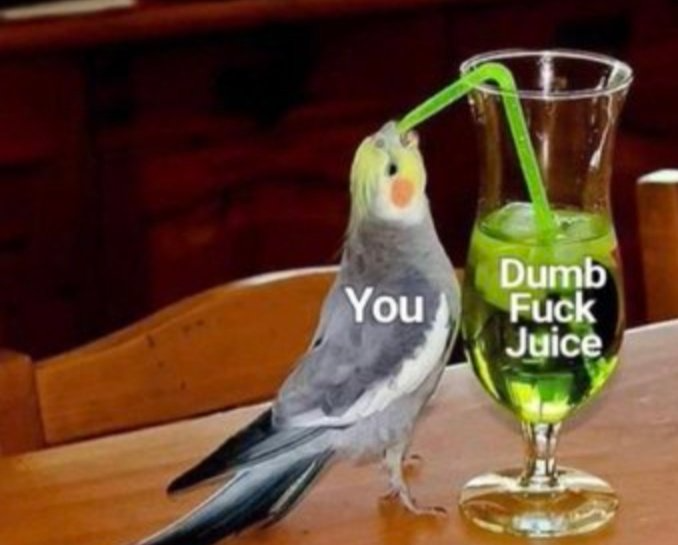 High Quality Dumb Fuck Juice Blank Meme Template