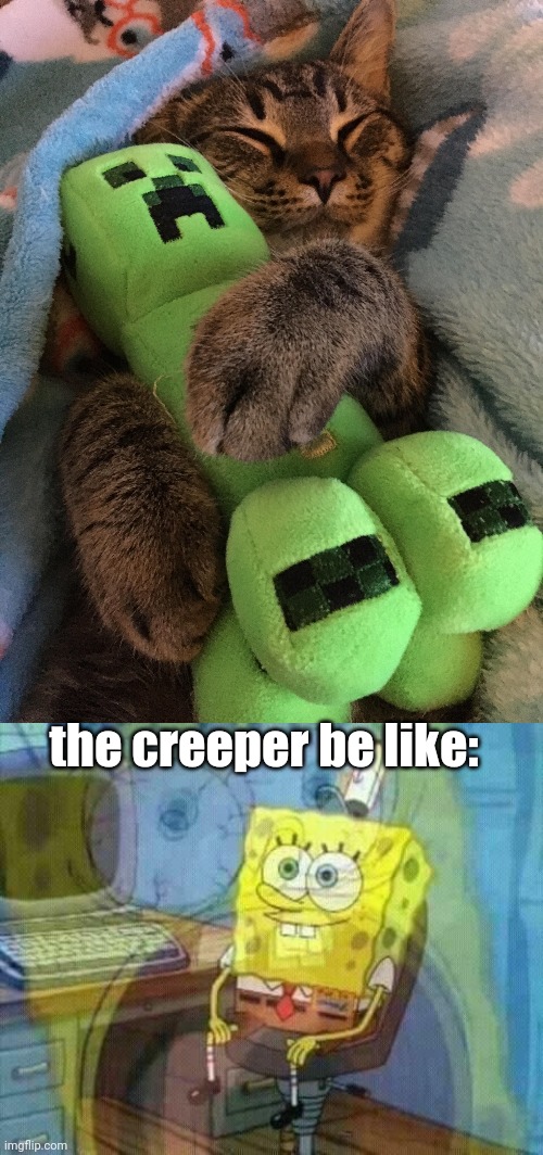 the creeper be like: | image tagged in cat hugging creeper,spongebob panic inside | made w/ Imgflip meme maker