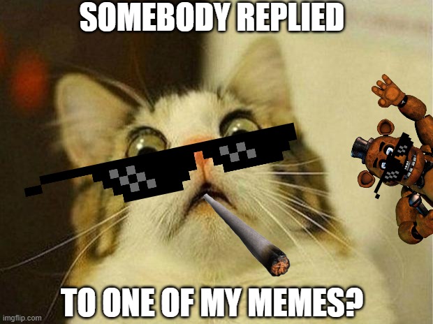 i uhhh | SOMEBODY REPLIED; TO ONE OF MY MEMES? | image tagged in memes,scared cat | made w/ Imgflip meme maker