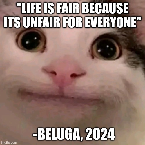 WIZE WURDS | "LIFE IS FAIR BECAUSE ITS UNFAIR FOR EVERYONE"; -BELUGA, 2024 | image tagged in beluga | made w/ Imgflip meme maker