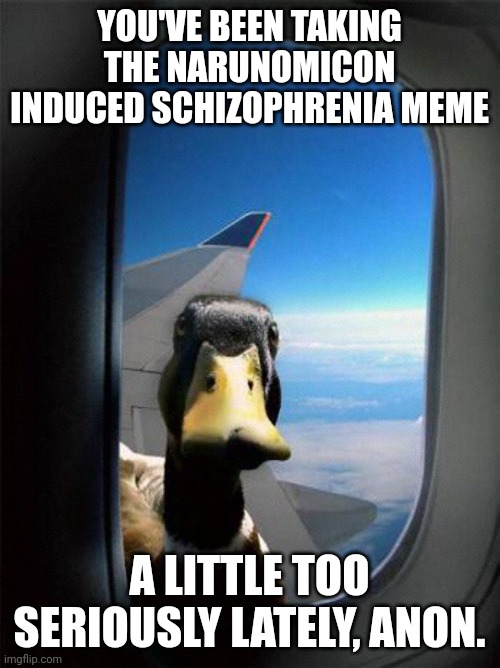 Airplane Duck