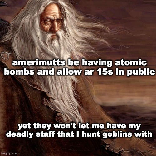 wizard meme 16 | amerimutts be having atomic bombs and allow ar 15s in public; yet they won't let me have my deadly staff that I hunt goblins with | made w/ Imgflip meme maker