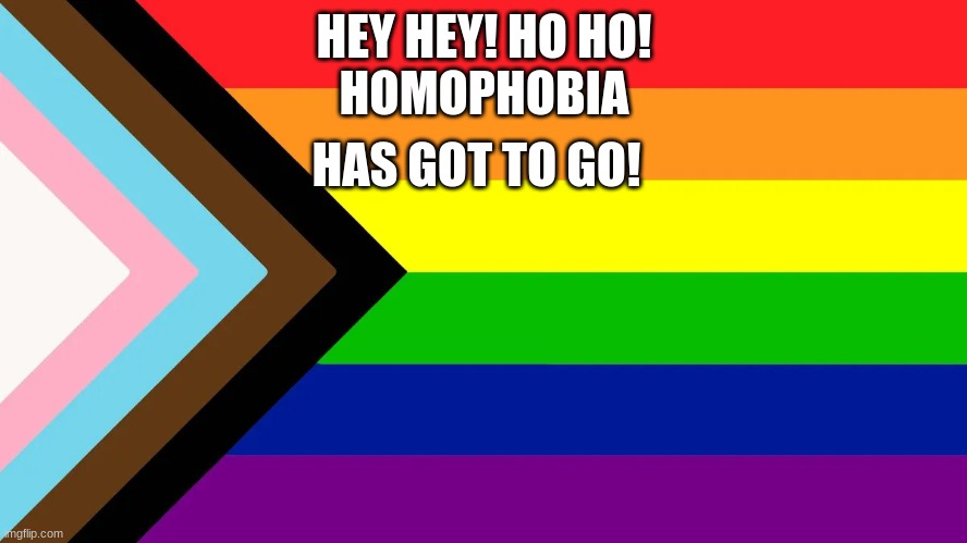 WE EXIST DEAL WITH IT! | HEY HEY! HO HO!
HOMOPHOBIA; HAS GOT TO GO! | image tagged in gay pride,gay,bisexual,lesbian,pansexual,asexual | made w/ Imgflip meme maker