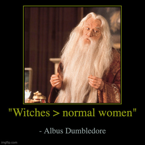 wizard meme 20 | "Witches > normal women" | - Albus Dumbledore | image tagged in funny,demotivationals | made w/ Imgflip demotivational maker