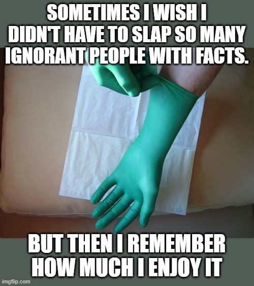 Its a full time job these days | SOMETIMES I WISH I DIDN'T HAVE TO SLAP SO MANY IGNORANT PEOPLE WITH FACTS. BUT THEN I REMEMBER HOW MUCH I ENJOY IT | image tagged in political meme,political humor,funny memes,truth,stupid liberals | made w/ Imgflip meme maker