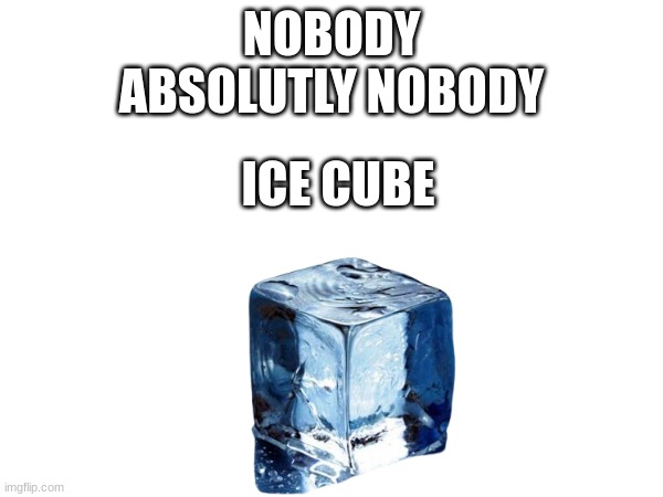 its so stupid but its funny | NOBODY
ABSOLUTELY NOBODY; ICE CUBE | image tagged in stupidity | made w/ Imgflip meme maker