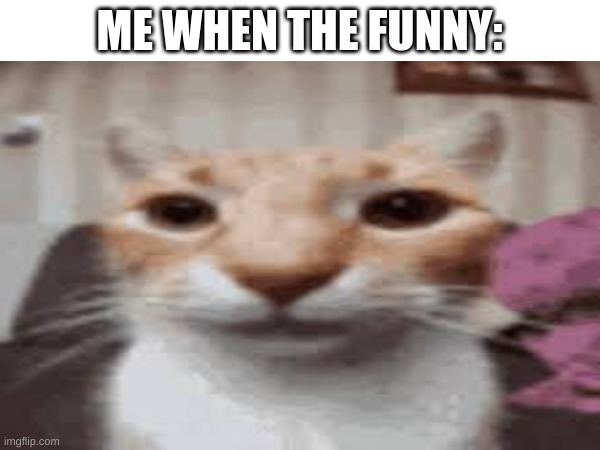 ME WHEN THE FUNNY: | made w/ Imgflip meme maker