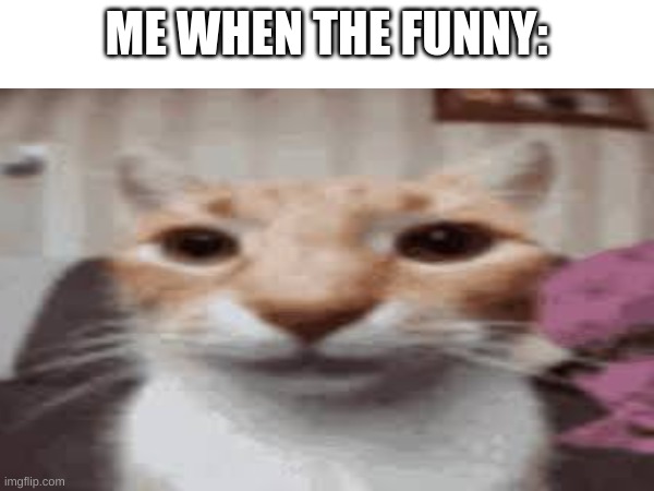 ME WHEN THE FUNNY: | made w/ Imgflip meme maker