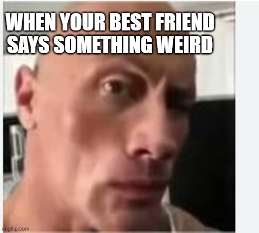 When you hear something weird | WHEN YOUR BEST FRIEND SAYS SOMETHING WEIRD | image tagged in the rock | made w/ Imgflip meme maker
