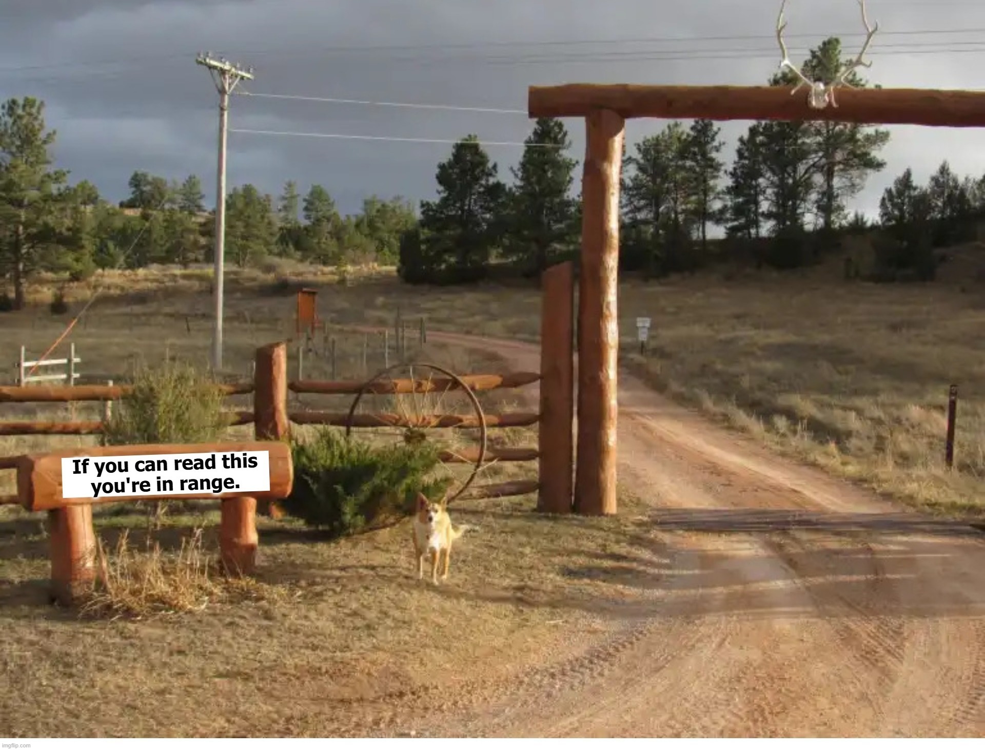 Gated Community in The Black Hills | image tagged in gated community,black hills,south dakota,neighborhood watch,wrong neighborhood,home on the range | made w/ Imgflip meme maker