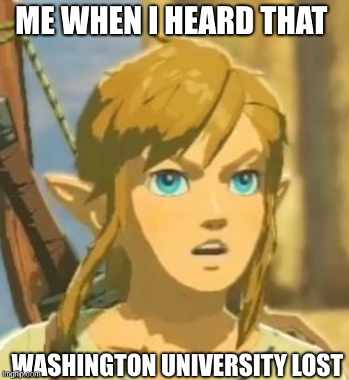 Offended Link | ME WHEN I HEARD THAT; WASHINGTON UNIVERSITY LOST | image tagged in offended link | made w/ Imgflip meme maker