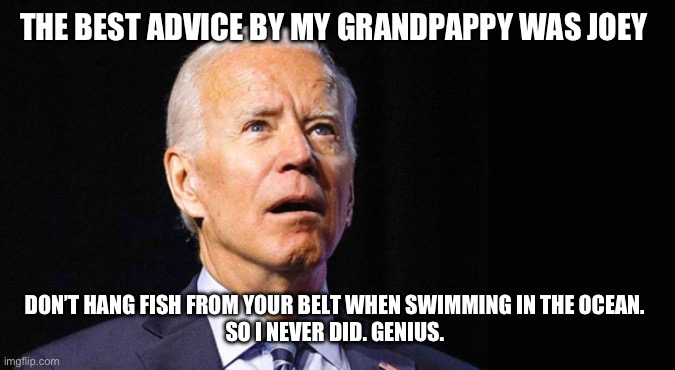 Confused joe biden | THE BEST ADVICE BY MY GRANDPAPPY WAS JOEY; DON’T HANG FISH FROM YOUR BELT WHEN SWIMMING IN THE OCEAN. 
SO I NEVER DID. GENIUS. | image tagged in confused joe biden | made w/ Imgflip meme maker