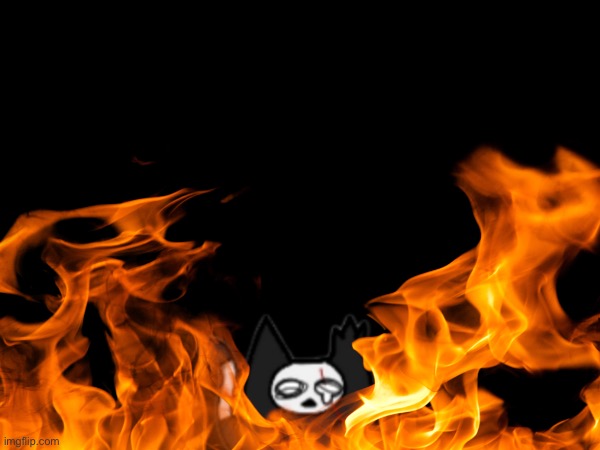 POV: Milo tried to cook | made w/ Imgflip meme maker