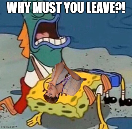 i made this in like a minute | WHY MUST YOU LEAVE?! | image tagged in crying spongebob lifeguard fish | made w/ Imgflip meme maker