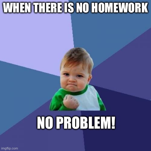 Yahoo babies react to no homework | WHEN THERE IS NO HOMEWORK; NO PROBLEM! | image tagged in memes,success kid | made w/ Imgflip meme maker