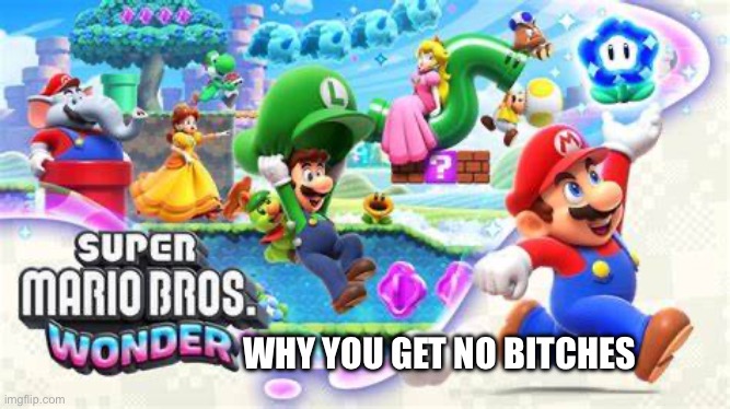 Hmm idk | WHY YOU GET NO BITCHES | image tagged in super mario wonder | made w/ Imgflip meme maker