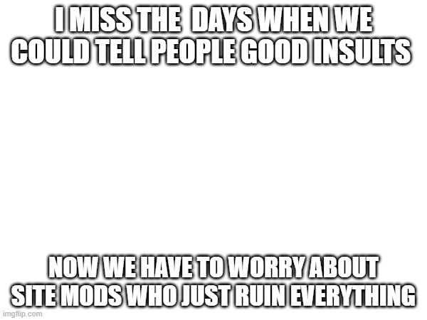 I MISS THE  DAYS WHEN WE COULD TELL PEOPLE GOOD INSULTS; NOW WE HAVE TO WORRY ABOUT SITE MODS WHO JUST RUIN EVERYTHING | made w/ Imgflip meme maker