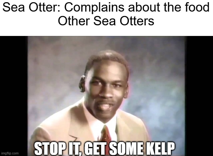 i love this joke | Sea Otter: Complains about the food
Other Sea Otters; STOP IT, GET SOME KELP | image tagged in stop it get some help,kakorrhaphiophobia,sea otter,funny,memes,jokes | made w/ Imgflip meme maker
