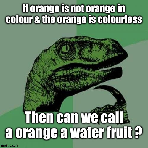 ???? | If orange is not orange in colour & the orange is colourless; Then can we call a orange a water fruit ? | image tagged in memes,philosoraptor | made w/ Imgflip meme maker