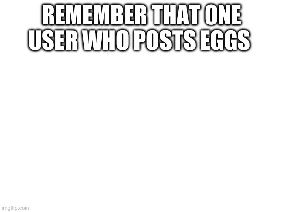 Blank White Template | REMEMBER THAT ONE USER WHO POSTS EGGS | image tagged in blank white template | made w/ Imgflip meme maker