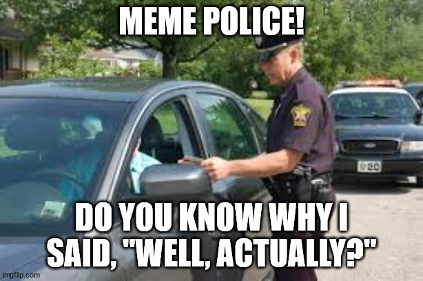 Meme police | MEME POLICE! DO YOU KNOW WHY I SAID, "WELL, ACTUALLY?" | image tagged in traffic stop | made w/ Imgflip meme maker