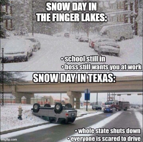 texas snow | SNOW DAY IN THE FINGER LAKES: | image tagged in snow comparison | made w/ Imgflip meme maker