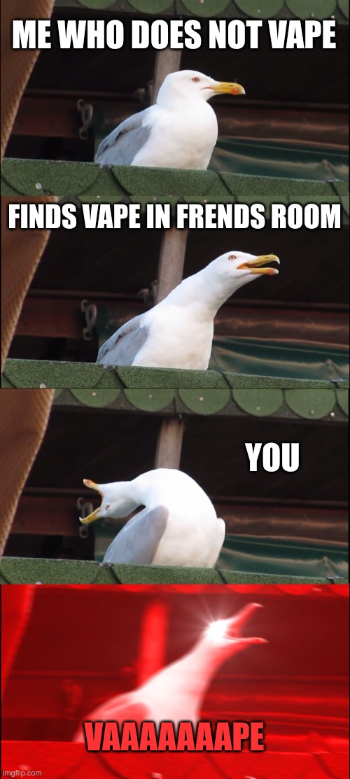 Inhaling Seagull | ME WHO DOES NOT VAPE; FINDS VAPE IN FRENDS ROOM; YOU; VAAAAAAAPE | image tagged in memes,inhaling seagull | made w/ Imgflip meme maker