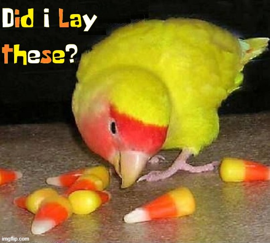 It's Possible... after Easter. | image tagged in vince vance,candy corn,memes,birds,easter eggs,love bird | made w/ Imgflip meme maker