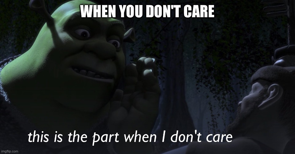 Shrek saying this is the part when I don't care | WHEN YOU DON'T CARE | image tagged in this is the part when i don't care,shrek,funny,memes,i don't care,fun | made w/ Imgflip meme maker