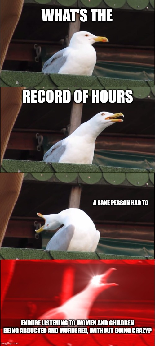 I feel like the record holder | WHAT'S THE; RECORD OF HOURS; A SANE PERSON HAD TO; ENDURE LISTENING TO WOMEN AND CHILDREN BEING ABDUCTED AND MURDERED, WITHOUT GOING CRAZY? | image tagged in memes,inhaling seagull | made w/ Imgflip meme maker