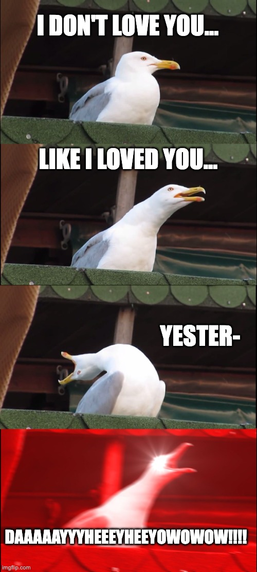 POV you're listening to I Don't Love You by My Chem | I DON'T LOVE YOU... LIKE I LOVED YOU... YESTER-; DAAAAAYYYHEEEYHEEYOWOWOW!!!! | image tagged in memes,inhaling seagull | made w/ Imgflip meme maker