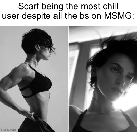 MSMG slander part 1 | Scarf being the most chill user despite all the bs on MSMG: | image tagged in female gigachad | made w/ Imgflip meme maker