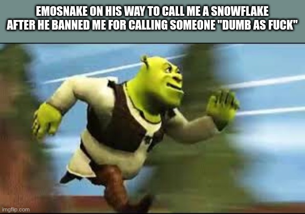 Shrek Running Imgflip shrek-running-imgflip