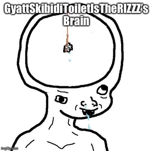 Dumb wojak | GyattSkibidiToiletIsTheRIZZZ’s Brain | image tagged in dumb wojak | made w/ Imgflip meme maker