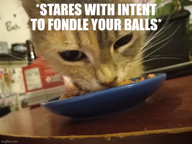 *STARES WITH INTENT TO FONDLE YOUR BALLS* | made w/ Imgflip meme maker