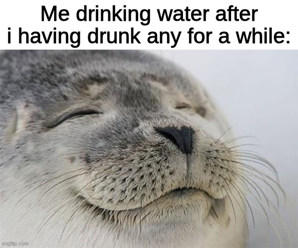 It just wants me to drink more water... | Me drinking water after i having drunk any for a while: | image tagged in memes,satisfied seal | made w/ Imgflip meme maker