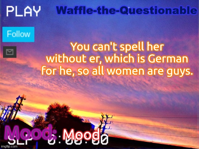 No such thing as women /j | You can't spell her without er, which is German for he, so all women are guys. Mood | image tagged in waffle-the-questionable | made w/ Imgflip meme maker