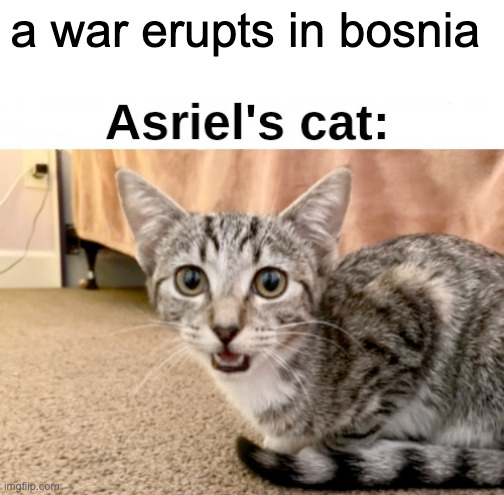 Asriel's cat: | a war erupts in bosnia | image tagged in asriel's cat | made w/ Imgflip meme maker