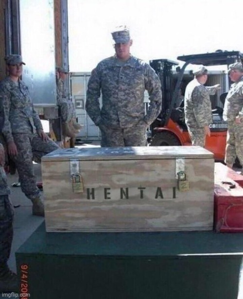 Regular shitpost jumpscare | image tagged in army supervising hentai | made w/ Imgflip meme maker