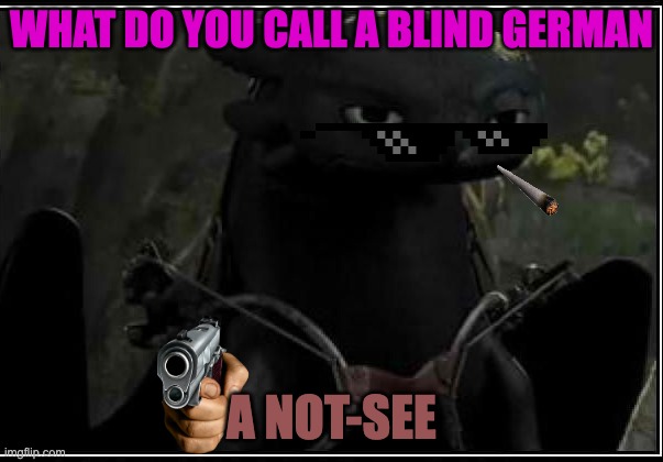 toothless is not inpressed | WHAT DO YOU CALL A BLIND GERMAN; A NOT-SEE | image tagged in toothless is not inpressed | made w/ Imgflip meme maker