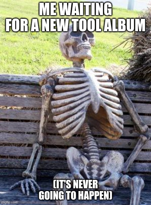 Honestly | ME WAITING FOR A NEW TOOL ALBUM; (IT'S NEVER GOING TO HAPPEN) | image tagged in memes,waiting skeleton,tool,music,funny | made w/ Imgflip meme maker