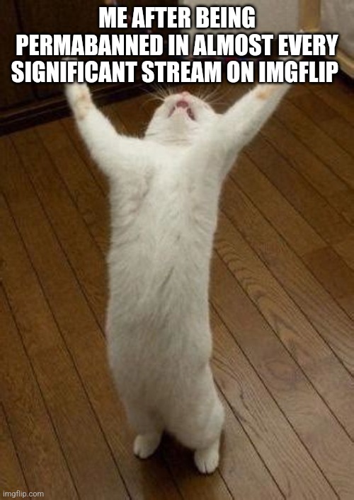 Hooray Cat | ME AFTER BEING PERMABANNED IN ALMOST EVERY SIGNIFICANT STREAM ON IMGFLIP | image tagged in hooray cat | made w/ Imgflip meme maker
