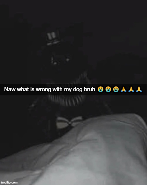 Naw what is wrong with my dog bruh 😭😭😭🙏🙏🙏 | made w/ Imgflip meme maker