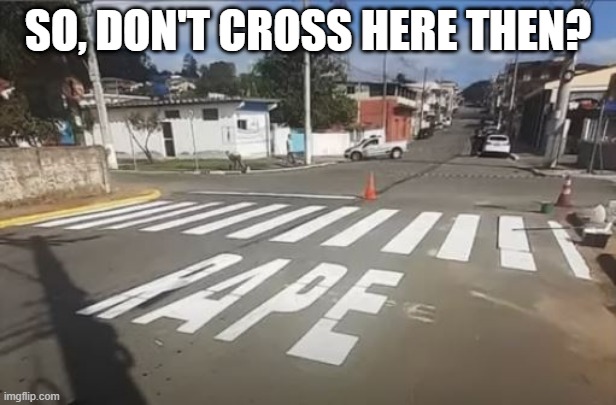 Warning? | SO, DON'T CROSS HERE THEN? | image tagged in you had one job | made w/ Imgflip meme maker