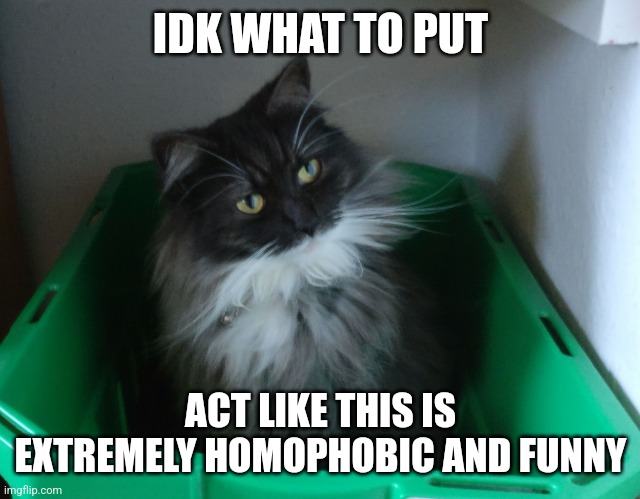 Cat in laundry basket | IDK WHAT TO PUT; ACT LIKE THIS IS EXTREMELY HOMOPHOBIC AND FUNNY | image tagged in cat in laundry basket | made w/ Imgflip meme maker