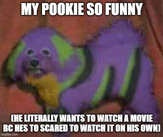 bros the top in this relationship to ? | MY POOKIE SO FUNNY; (HE LITERALLY WANTS TO WATCH A MOVIE BC HES TO SCARED TO WATCH IT ON HIS OWN) | image tagged in dog-01 | made w/ Imgflip meme maker