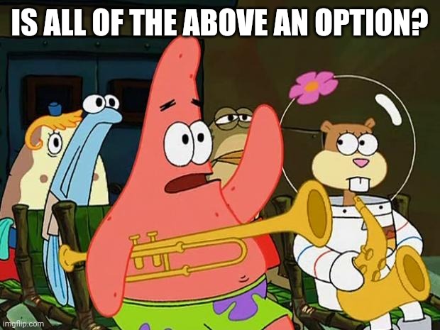 Patrick Mayonaise | IS ALL OF THE ABOVE AN OPTION? | image tagged in patrick mayonaise | made w/ Imgflip meme maker