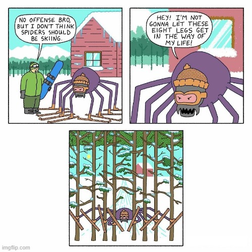 Spider Skiing | image tagged in comics | made w/ Imgflip meme maker